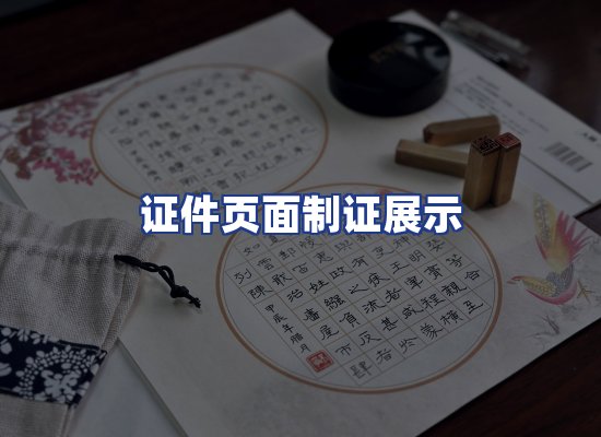 证件页面制证展示